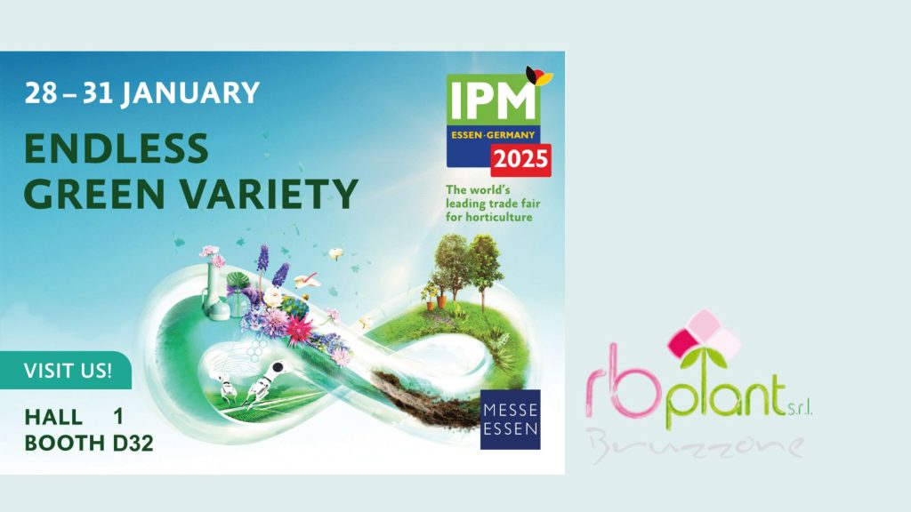 RB Plant Albenga a IPM Essen 2025 con fiori, piante e aromatiche in vaso