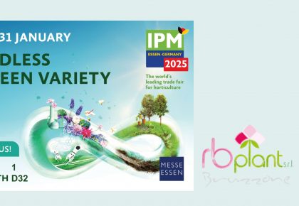 RB Plant Albenga a IPM Essen 2025 con fiori, piante e aromatiche in vaso